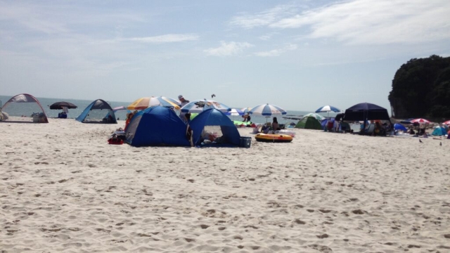 物件を持たなくてもレンタルスペース経営が可能!「転賃ビジネス」の可能性と注意点